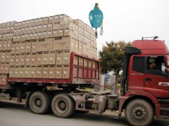 防墜器廠(chǎng)家推薦永磁吸盤(pán)裝車(chē)