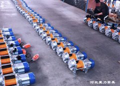 新型多功能電動(dòng)提升機便捷物